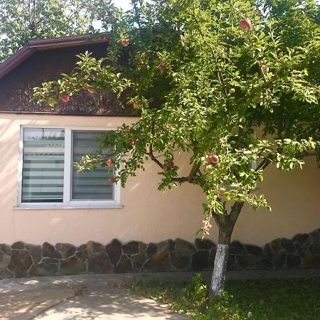 Apartments With Kitchen And Garden Kiev Eksteriør billede