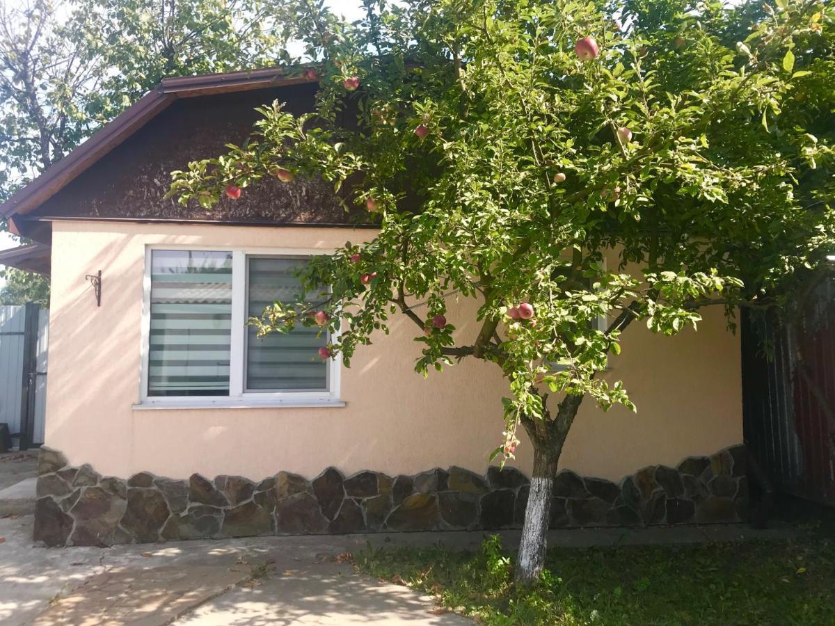 Apartments With Kitchen And Garden Kiev Eksteriør billede